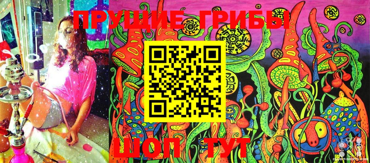 закладки  Вход с VPN  Реутов  Псилоцибиновые грибы MAGIC MUSHROOMS 